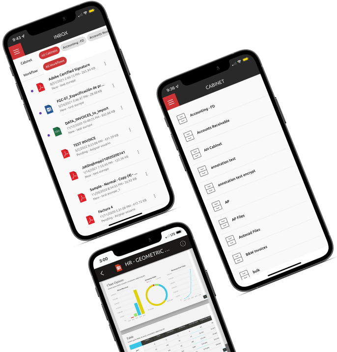 Mobile Application